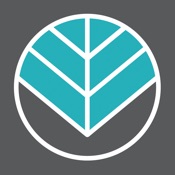 Reforming Indy Pilates Studio