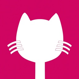 Cattus Learn Latin