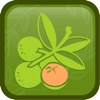 Huaya Mx icon
