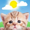 Weather Kitty: Weather + Radar - iPhoneアプリ