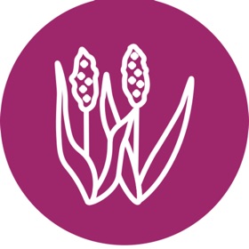 Sorghum Gro eTracker