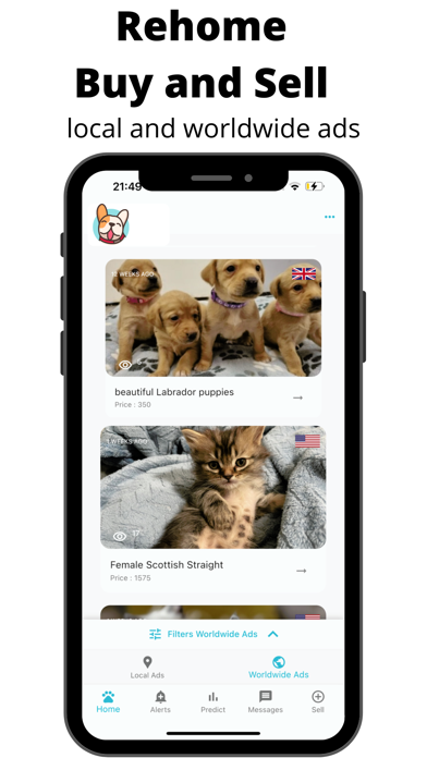 Pets Home: Find Loving Homes Screenshot
