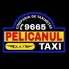 Taxi Pelicanul Driver (by AST) icon