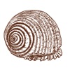 Churo icon