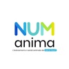 NUManima 2025 icon