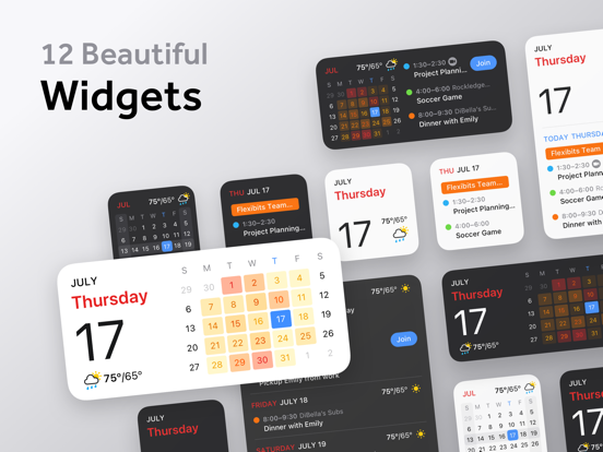 Fantastical Calendar iPad app afbeelding 5