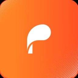 Payzli Connect