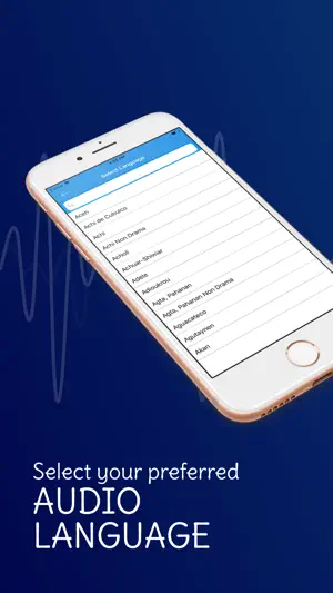 Audio Bible · screenshot 1