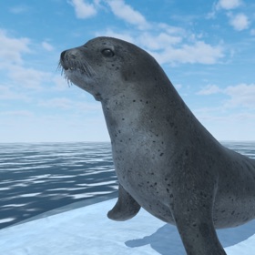 螢幕擷取畫面 (6) Seal Island