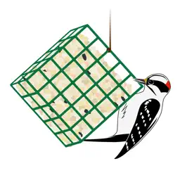 Project FeederWatch app icon