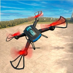 Flying Drone Race Simulator