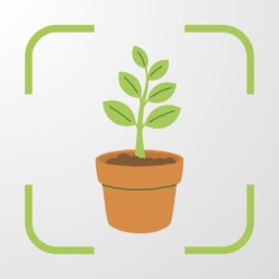 Tree & Plant Identifier