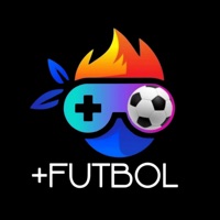 Torneos  futbol