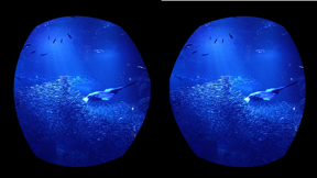 360° VR Player screenshot