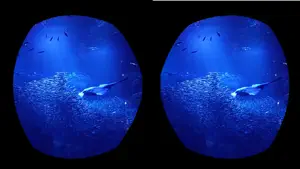 360° VR Player screenshot 2