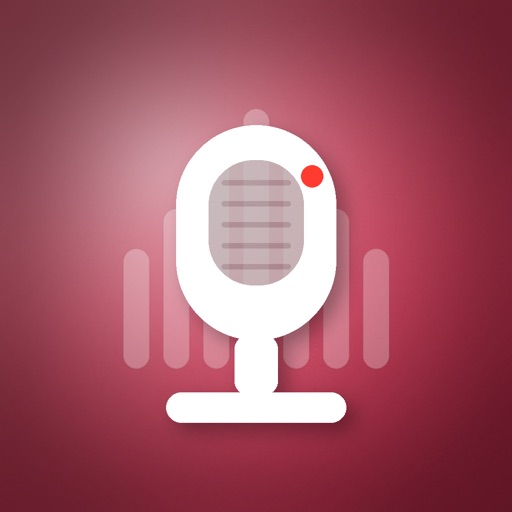 AI VoiceNotes Pro