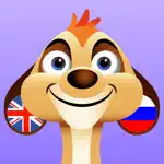 Learn Russian + App Positive Reviews