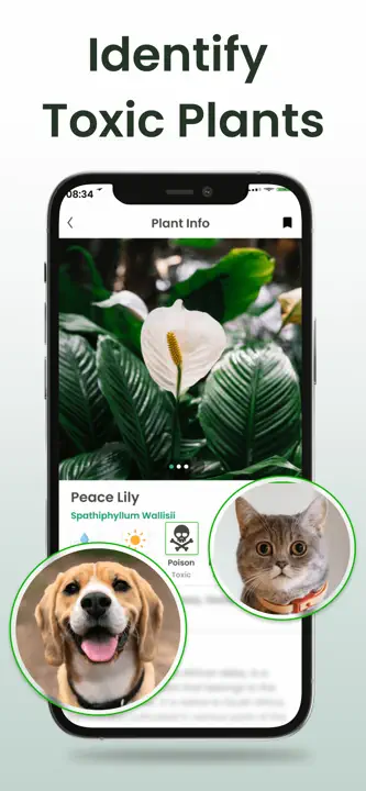 Plant Identifier: Plantiary: Screenshot 9 von 9