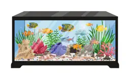 Living Aquarium TV 4K app icon