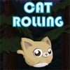 Cat Rolling Character icon