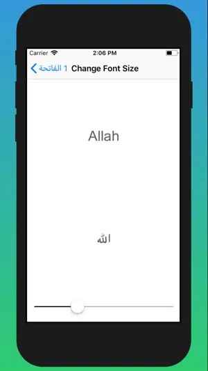 Daily Tasbeeh & Quran Tracker screenshot 4