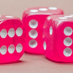 Choice Randomizer Lite