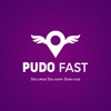 PUDO FAST Secured Delivery icon