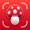 Mushroom Identifier: Fungi icon