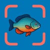 Fish Verify: Fish Identifier icon