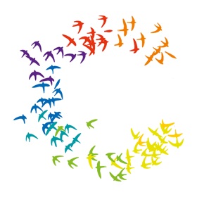 colorbirds