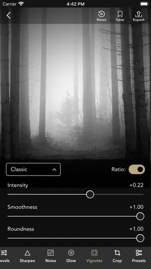 Monotone - BnW Film Emulation screenshot 3