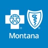 BCBSMT icon