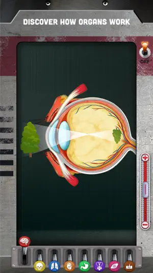 The Human Body: Learn Anatomy screenshot 2
