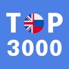 Most Common Russian Words icon