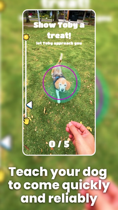 Train your Dog - Dognito Screenshot