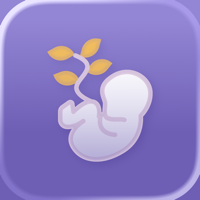 Contraction Timer - Bloom