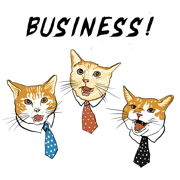 Business For Cats