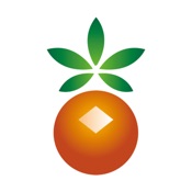 村镇银行手机银行