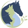 iPoint Touch icon