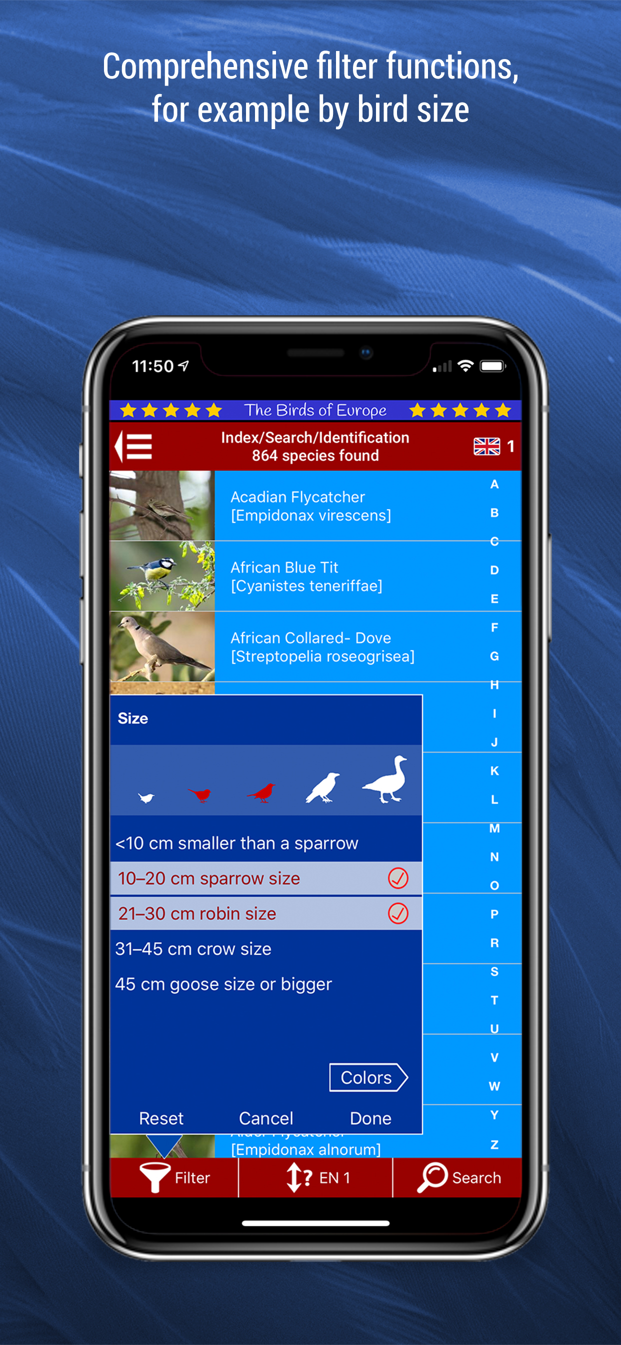Birds of Europe screenshot 5