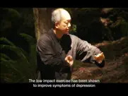 yang tai chi for beginners 1 ipad images 2