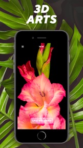 Spatial Wallpapers 3D screenshot