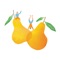 Happy Pear Vegan Food & Health