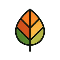 Watch Coloring: Coloring Book