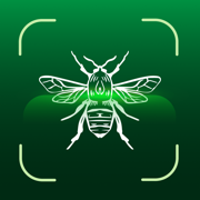 Bug Identifier & Finder