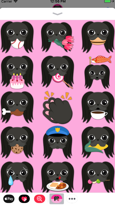 Black Japanese Chin screenshot