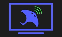 Display Ray