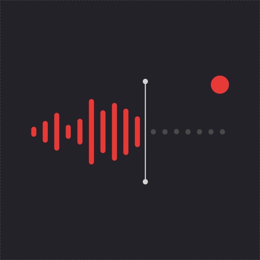 VoiceNotes: Audio Recordings