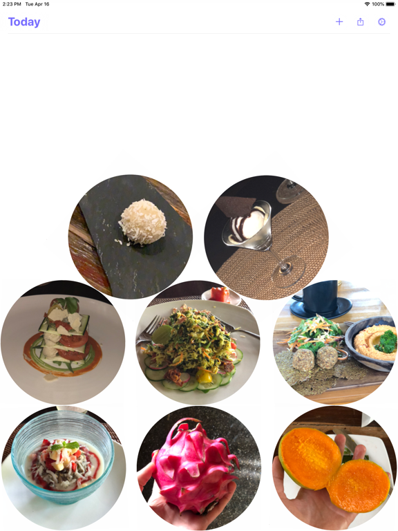 MealCam iPad screenshot 1 - Health & Fitness app