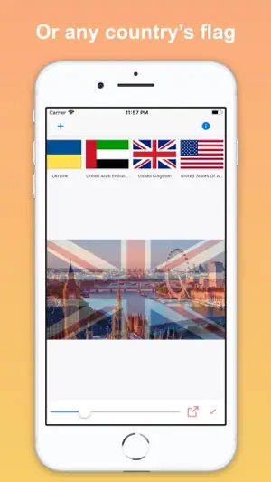 Country Flag Lite screenshot 2